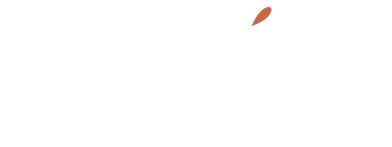 Cliente EFÈK